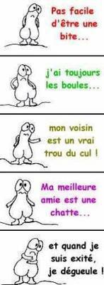 Une petite histoire